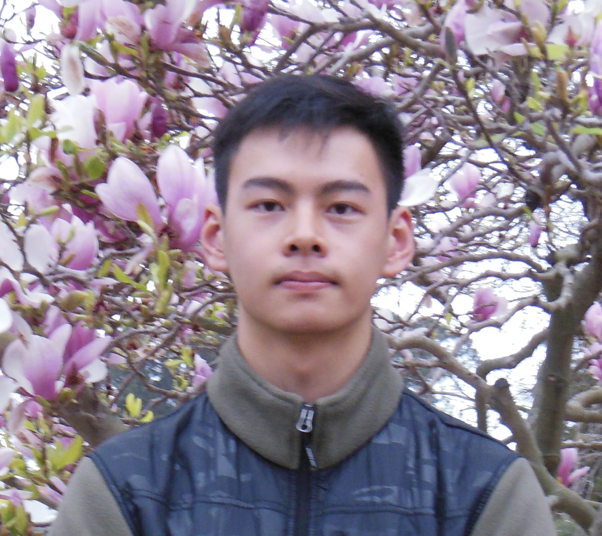 Zhide Yang