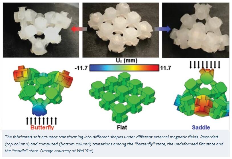 Fabrication procedures of bone-in-flesh soft actuators.