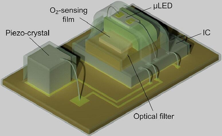 A schematic of the oxygen-detecting implant, which measures 4.5 millimeters long by 3 millimeters wide. The µLED, O2-sensing film, and optical filter make up the oxygen sensor, and are controlled by an integrated circuit (IC). The piezo-crystal converts a